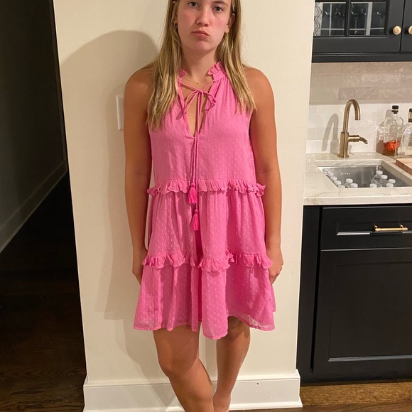 Roller Rabbit Pink Dress - Picture 3 of 11